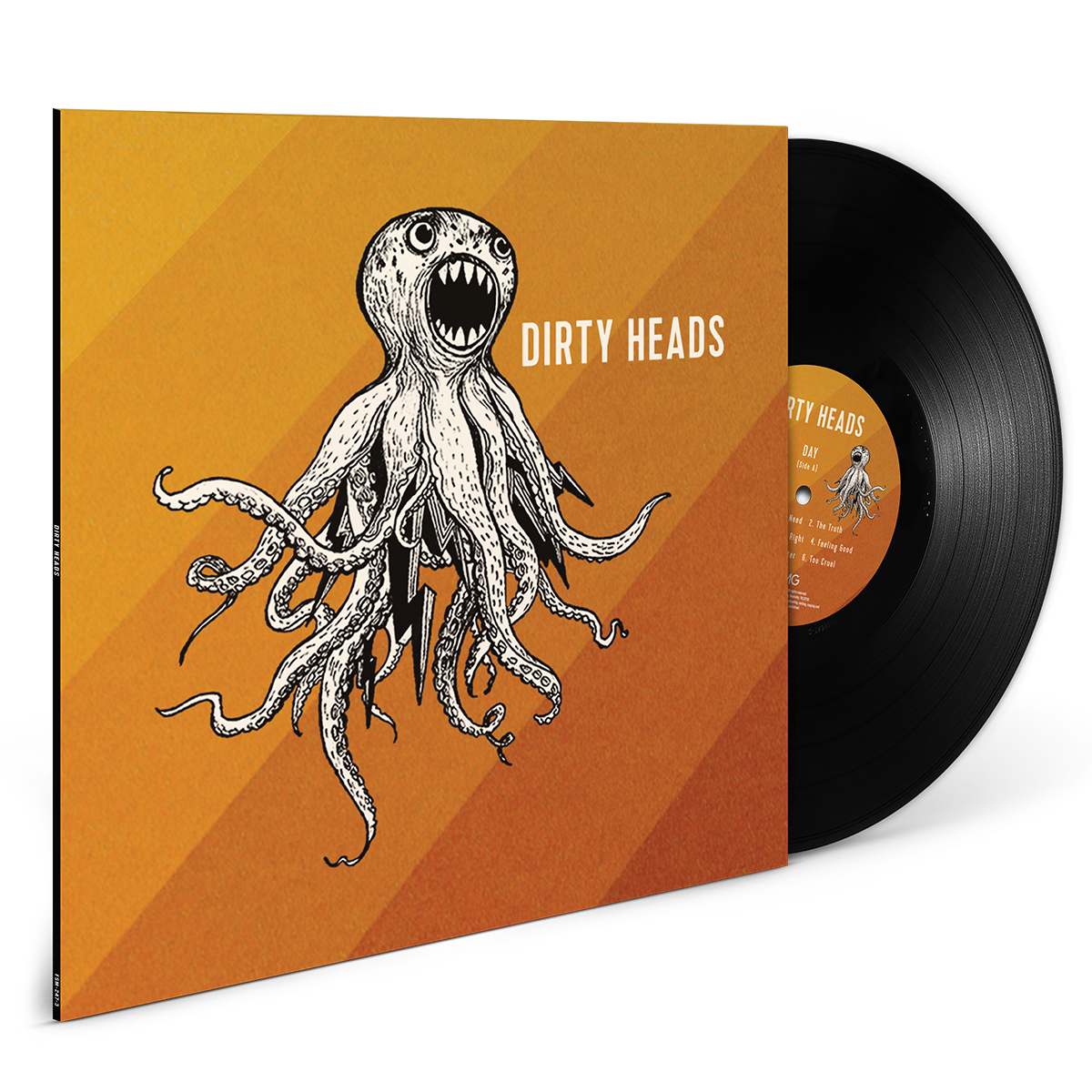 Dirty Heads LP Black Dirty Heads Store