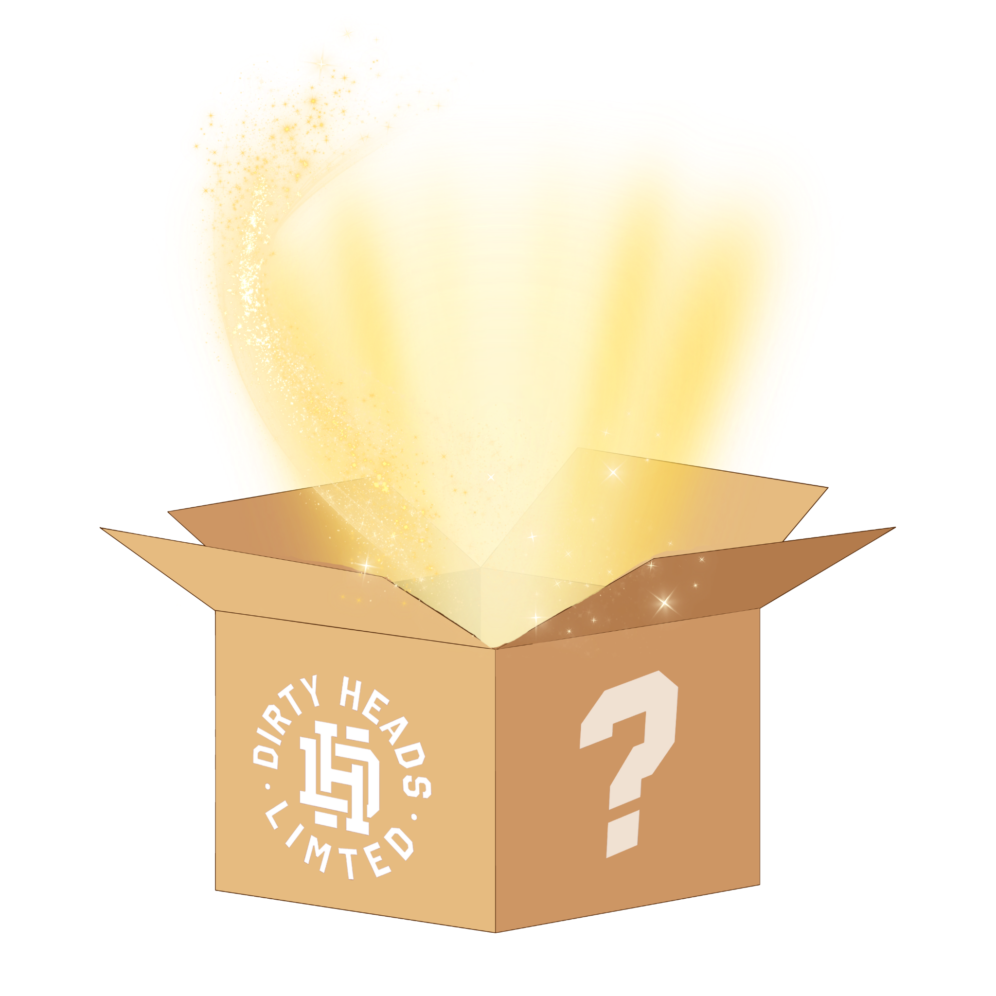 Dirty Heads Limited Mystery Box #10